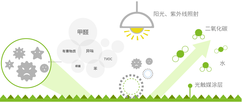 專業(yè)除甲醛 專業(yè)除甲醛