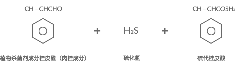 專業(yè)除甲醛 專業(yè)除甲醛