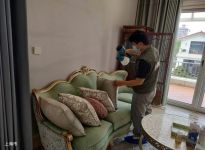 家里怎么養(yǎng)發(fā)財(cái)竹才能長得更好