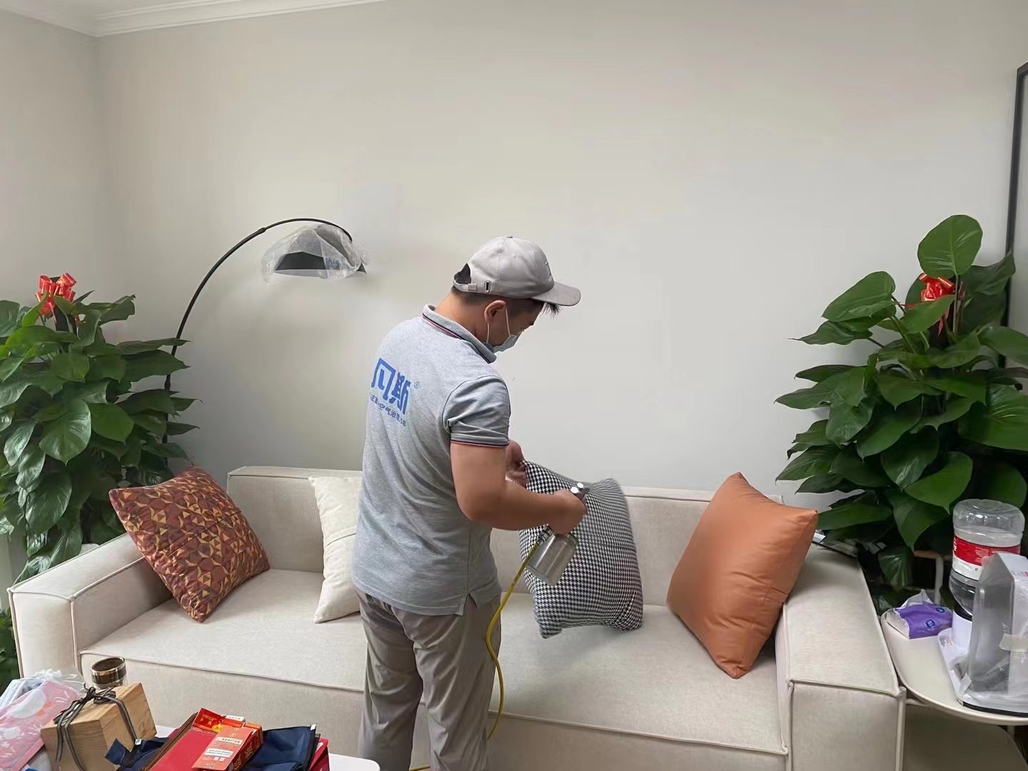 植物能改善家里的空氣質(zhì)量嗎