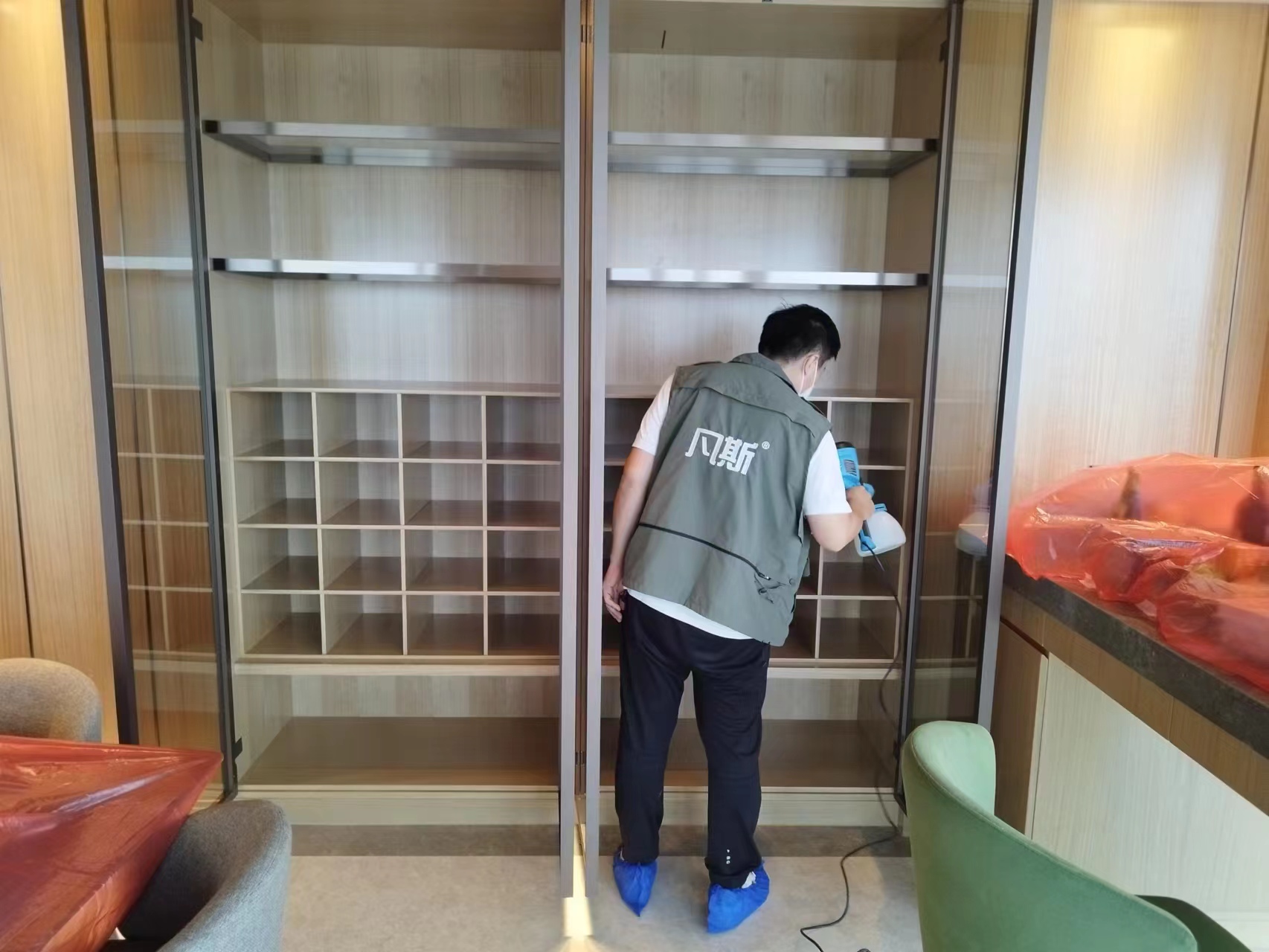 家里綠植的選購技巧，凈化室內(nèi)空氣